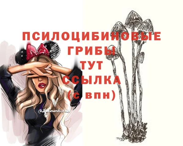 дживик Абаза